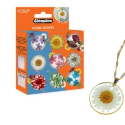 Conjunto de Potes Flores Secas Cléopâtre