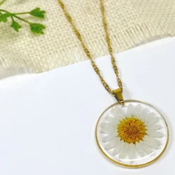 Conjunto de Potes Flores Secas Cléopâtre