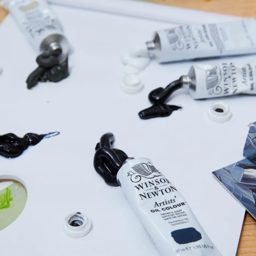 Conjunto Óleo Artist Cores Neutras Winsor & Newton
