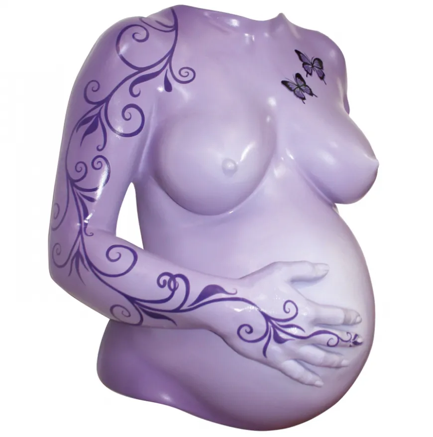 Conjunto Modelador de Gesso para Barriga de Grávida Artidee