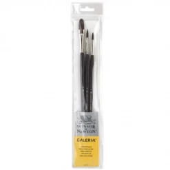Conjunto Pincéis Galeria Winsor & Newton
