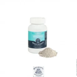 Gesso Bolonha Manetti