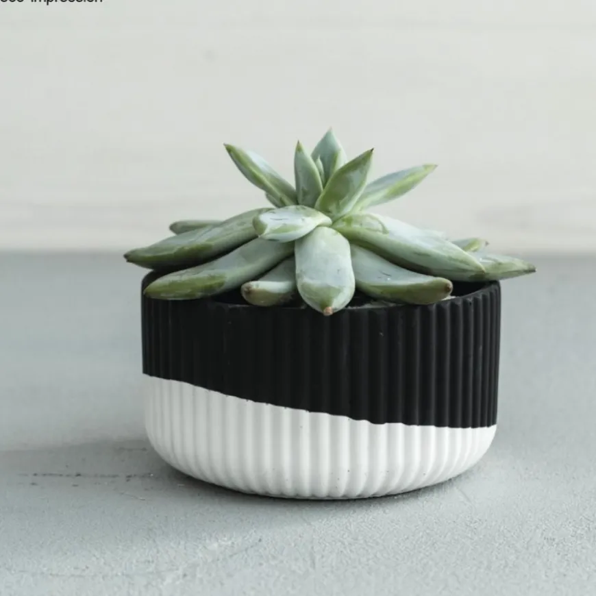 Gesso em pó Raysin 250 Black
