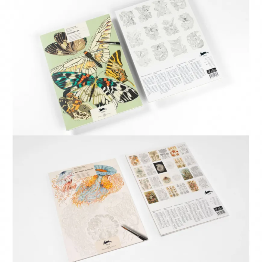 Livro de Colorir PEPIN