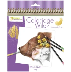 Livro para Colorir Emmanuelle Colin