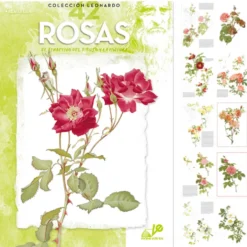 Manual Flores Coleção Leonardo