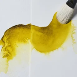 Médio Fel de Boi Winsor & Newton