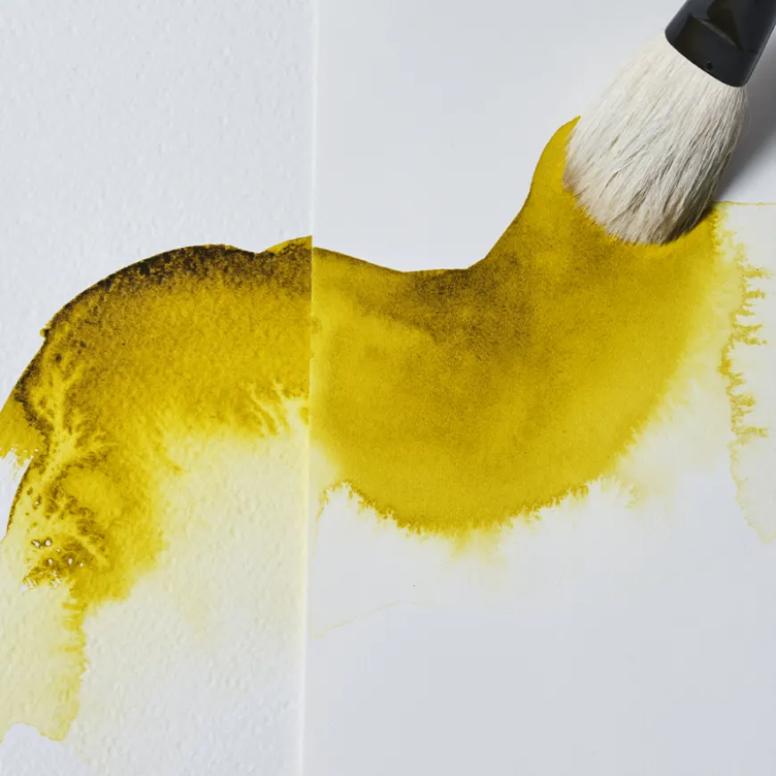 Médio Fel de Boi Winsor & Newton