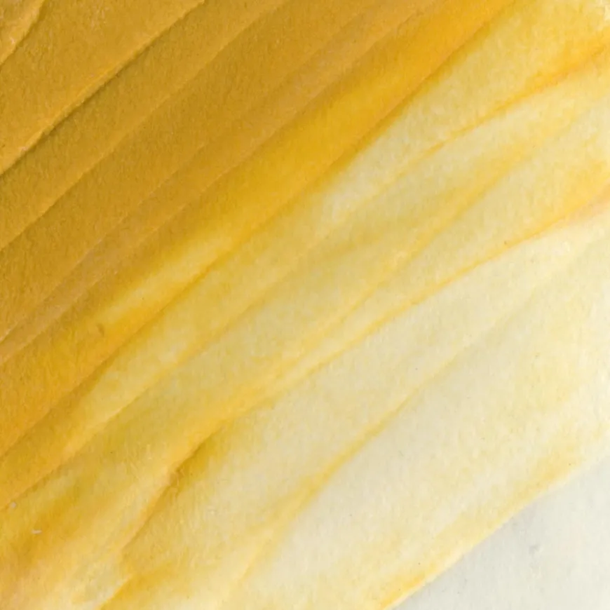 Pasta Modelar Leve Golden