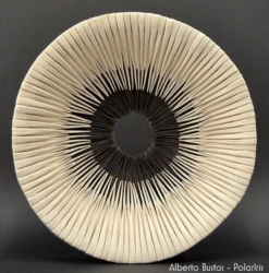 PRAI - Pasta Cerâmica Branca Refractária Artistica Sio-2
