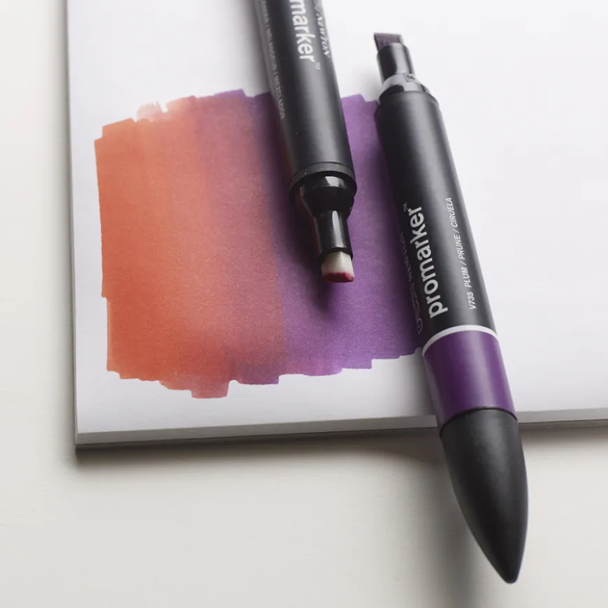 Set Marcadores Promarker Manga Winsor & Newton